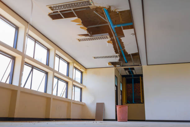 Best 24-hour water damage restoration  in South Toms River, NJ
