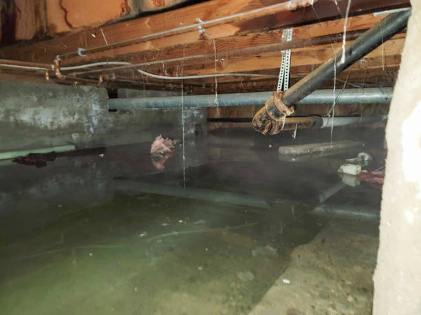 Best Basement water damage restoration  in South Toms River, NJ