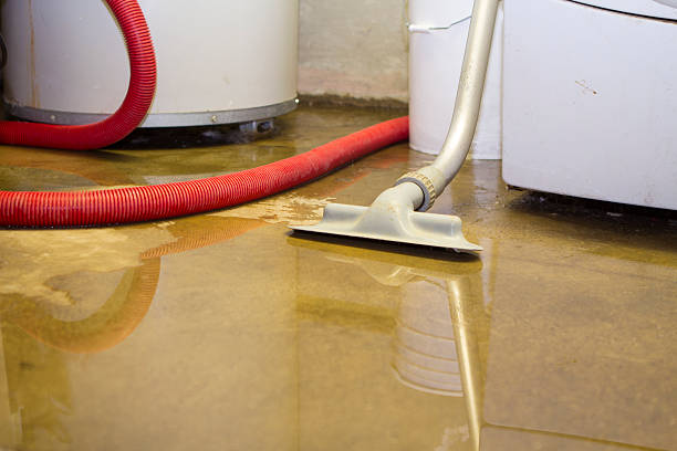 Best Local water damage restoration  in South Toms River, NJ