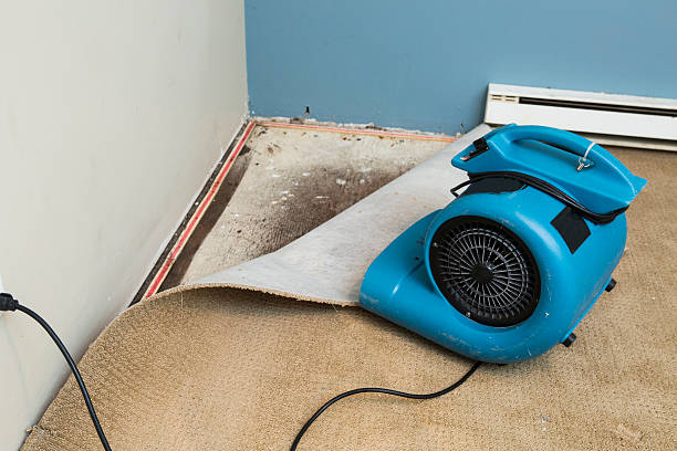 Best Water damage restoration near me  in South Toms River, NJ